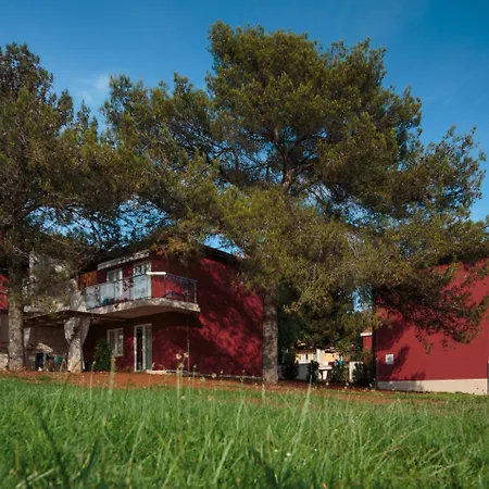 Katoro Plava Laguna * Umag