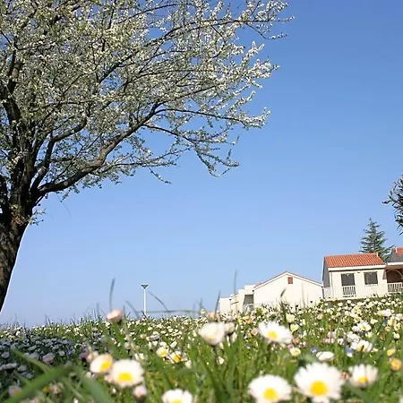 Διαμέρισμα Katoro Plava Laguna
