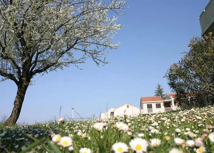 Appartement Katoro Plava Laguna *